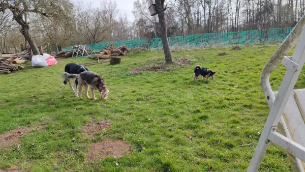 Solo und Luca